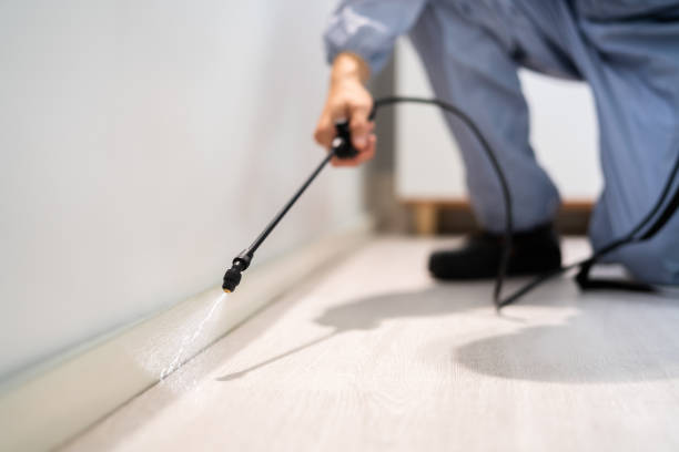 Licensed Mosquito Control service in Palm Valley, FL - Show Me Pest Control