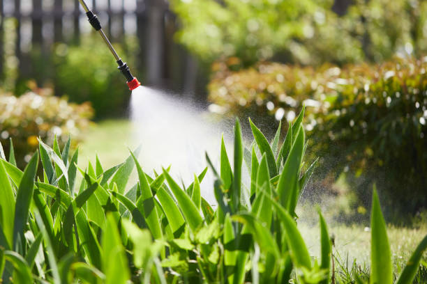 24/7 Emergency Mosquito Control experts in Palm Valley, FL