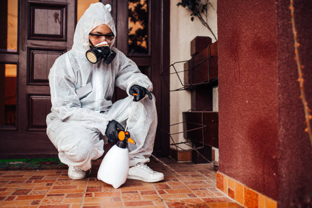 Reliable Mosquito Control contractor in Palm Valley, FL by Show Me Pest Control